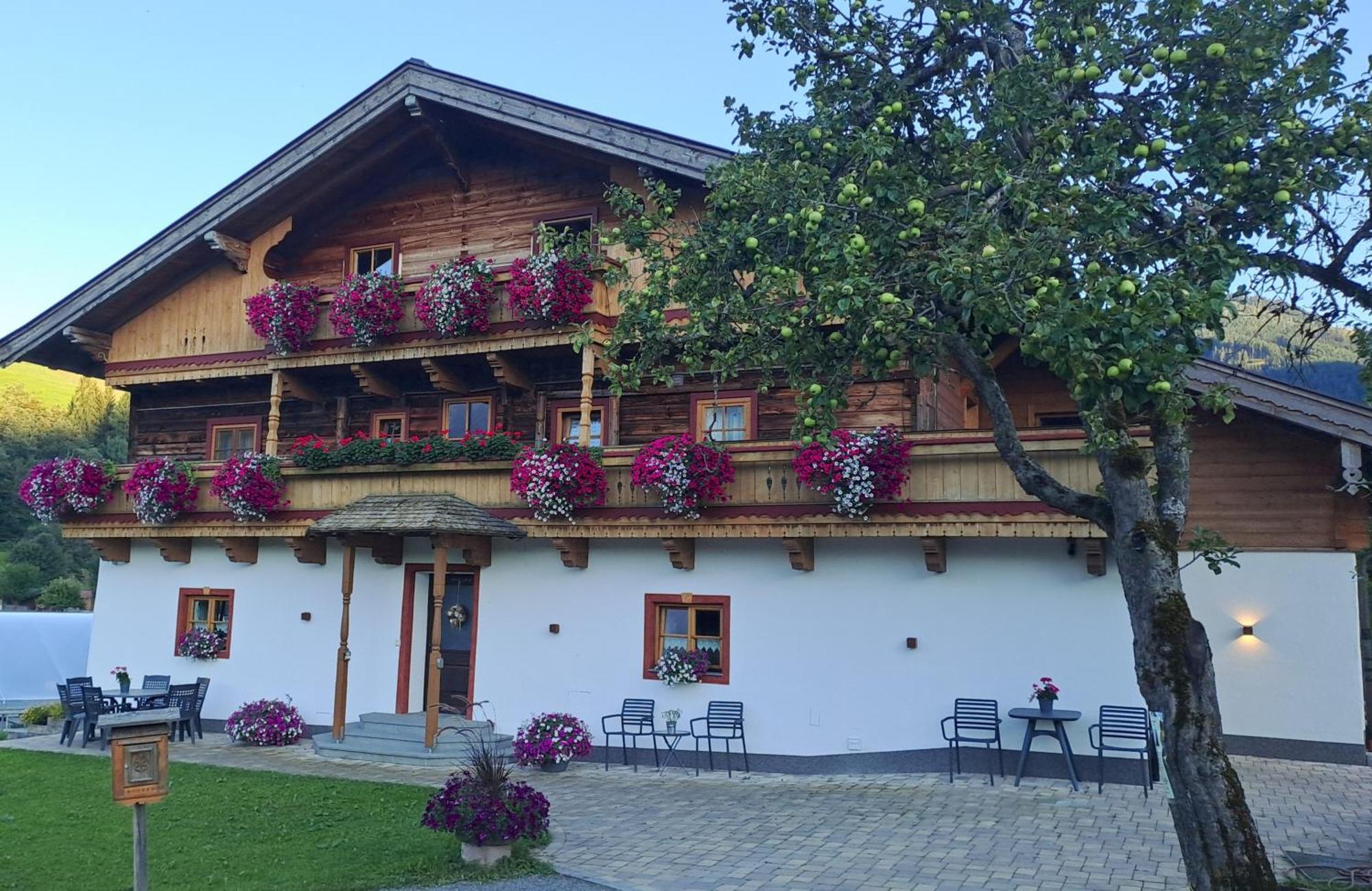 Ferienwohnung Steinernes Meer Марія-Альм-ам-Штайнернен-Мер Екстер'єр фото